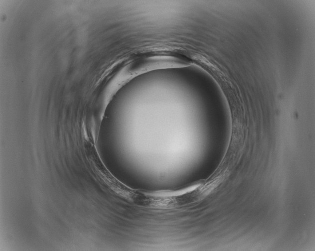 X0000068820096200605051222