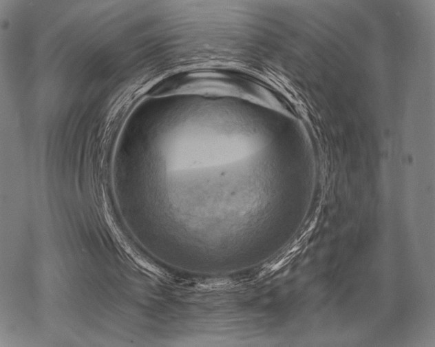 X0000068820097200605051221