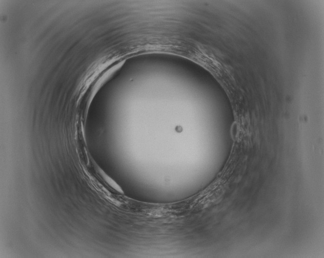 X0000068820098200605051221