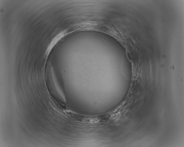 X0000068820099200605051221