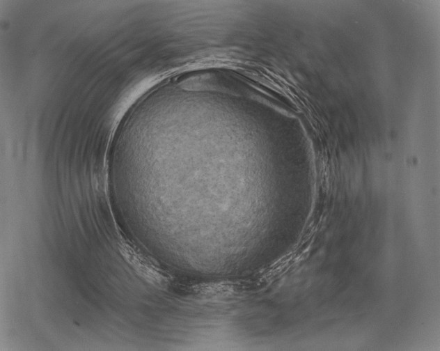 X0000068820100200605051221