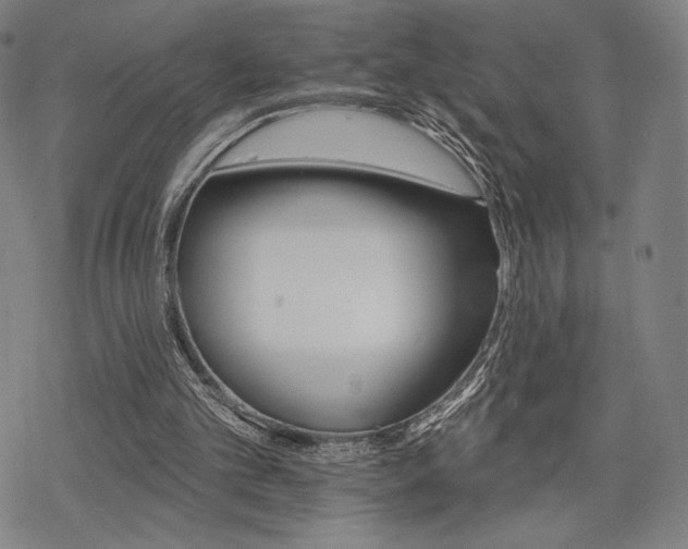 X0000068820101200605051221