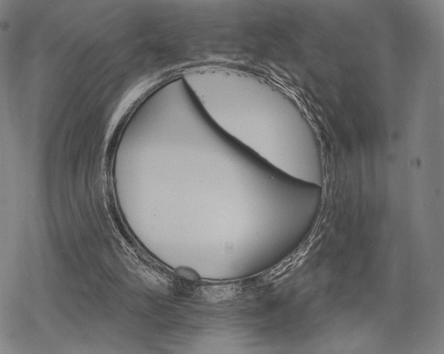 X0000068820102200605051221