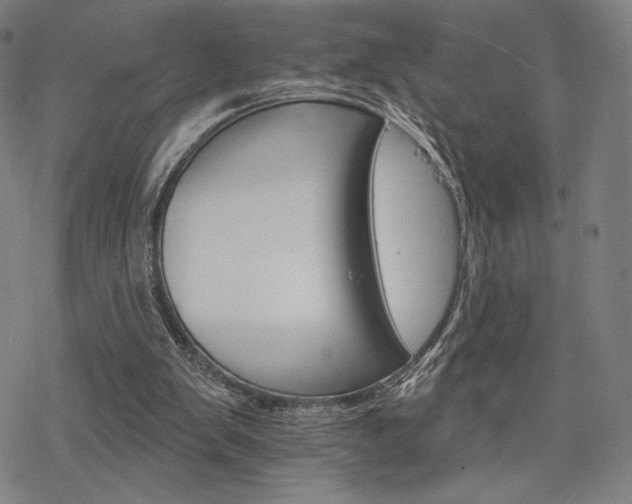 X0000068820103200605051221