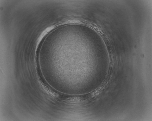 X0000068820104200605051221