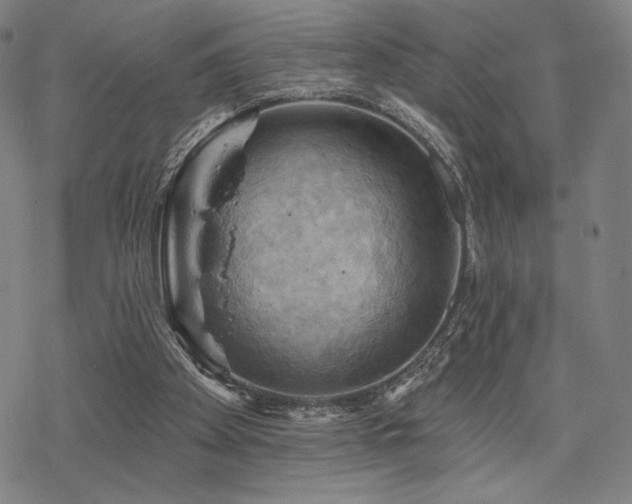 X0000068820105200605051221