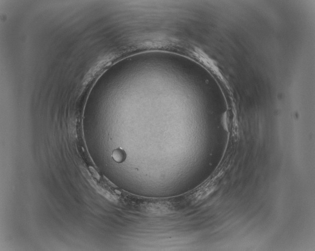 X0000068820106200605051221