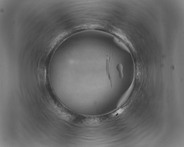 X0000068820110200605051221