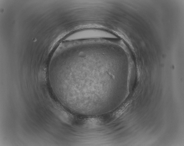 X0000068820111200605051221