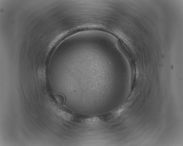 X0000068820112200605051221