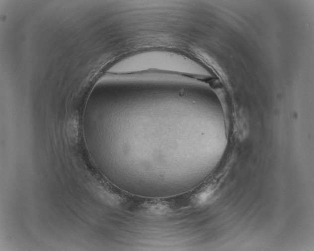 X0000068820113200605051221