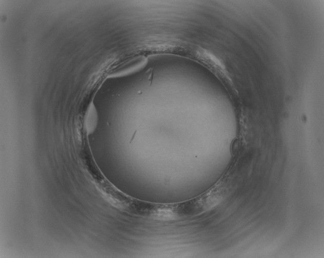 X0000068820114200605051221