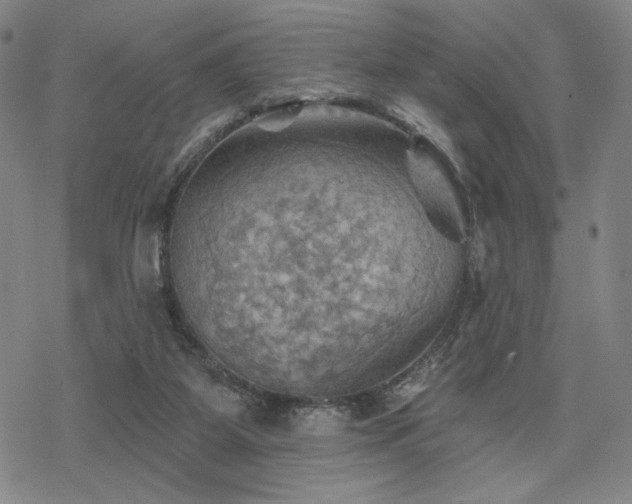 X0000068820115200605051221