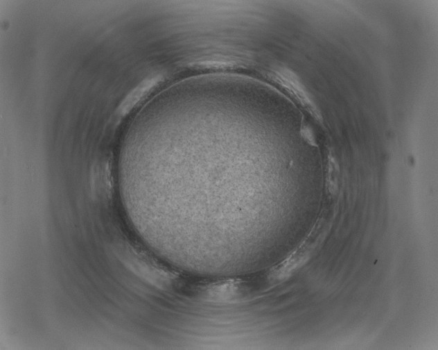 X0000068820116200605051220