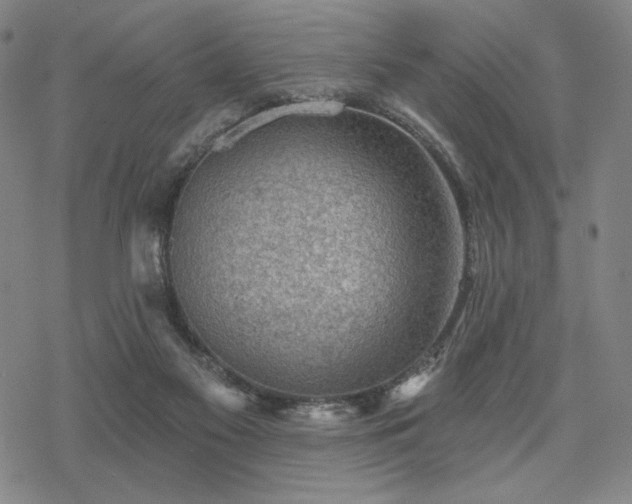 X0000068820117200605051220