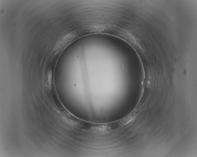 X0000068820118200605051220