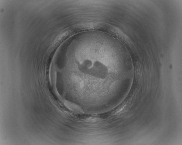 X0000068820119200605051220