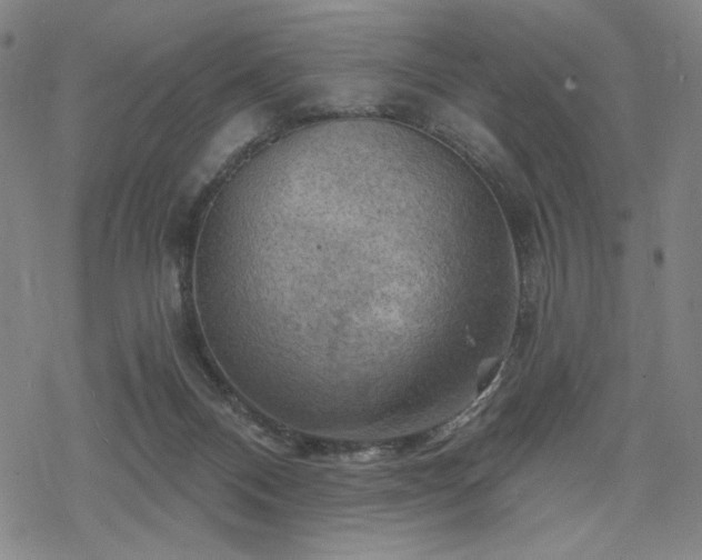 X0000068820120200605051220