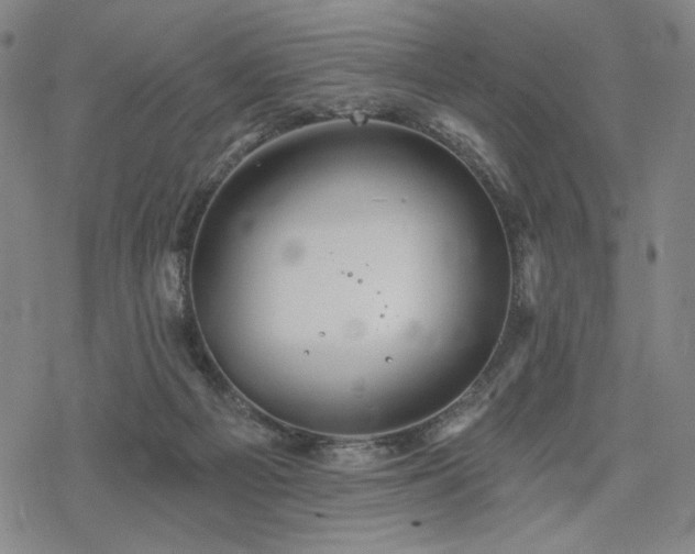 X0000068820121200605051220