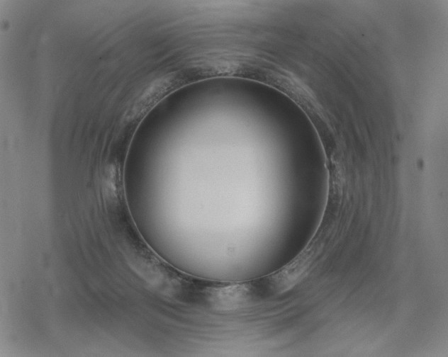 X0000068820122200605051220