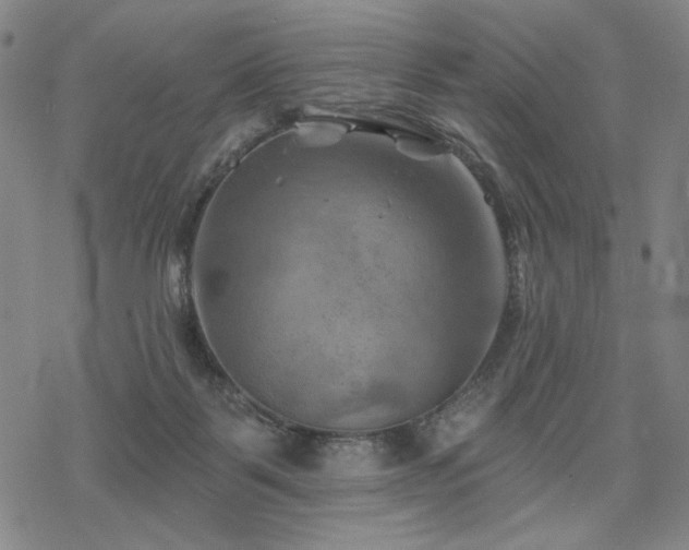 X0000068820123200605051220