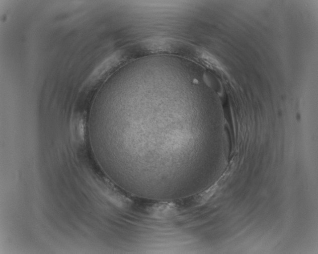 X0000068820124200605051220