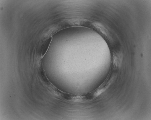 X0000068820125200605051220