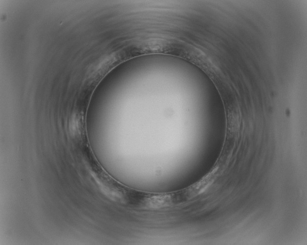 X0000068820126200605051220