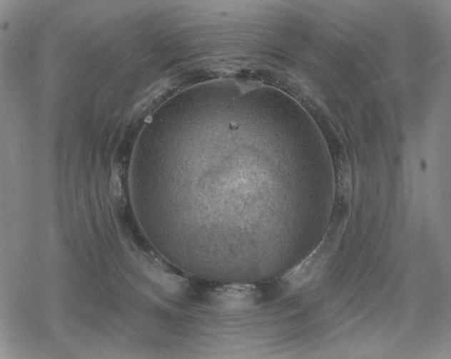 X0000068820128200605051220