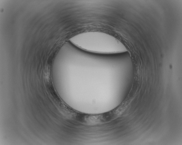 X0000068820129200605051220