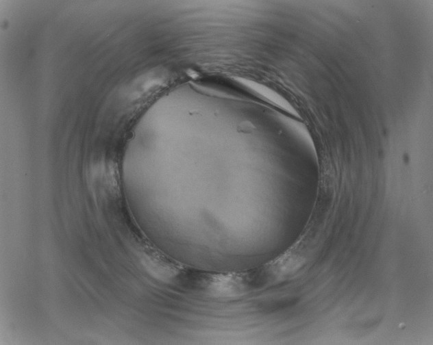 X0000068820130200605051220