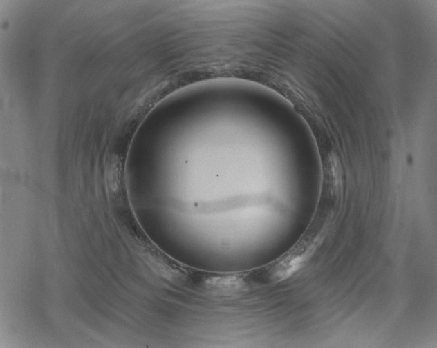 X0000068820133200605051220