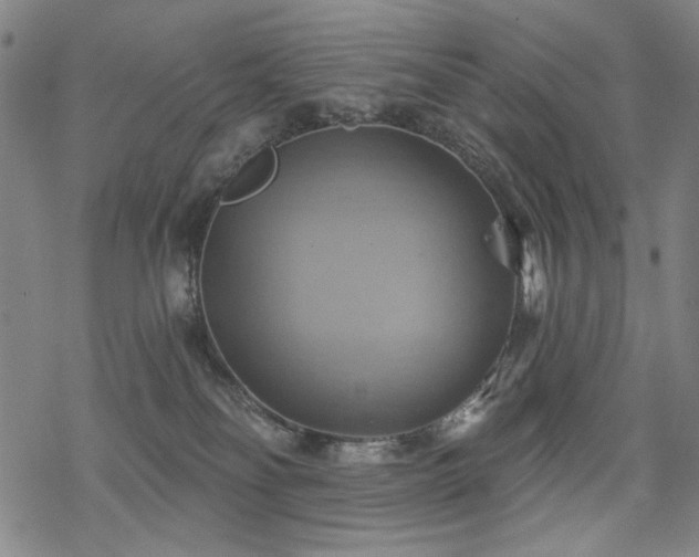 X0000068820134200605051220