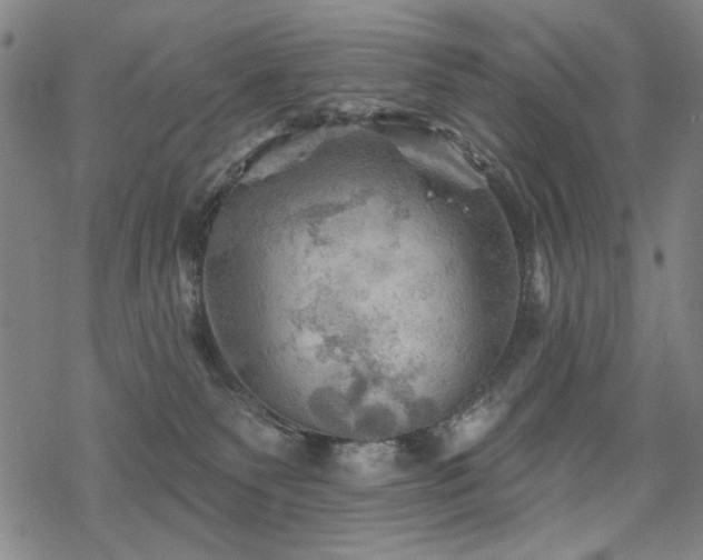 X0000068820135200605051220