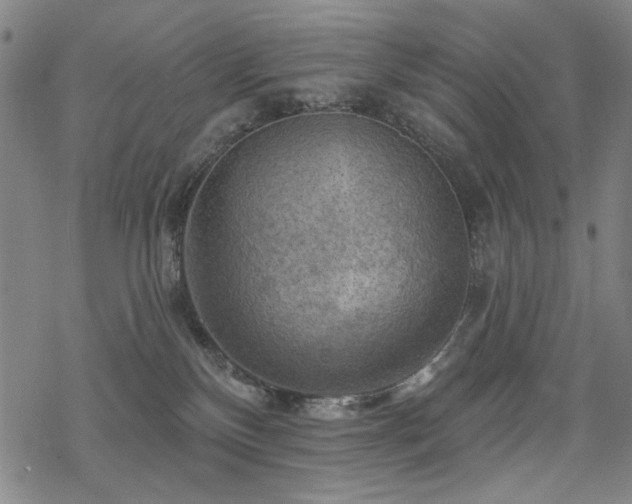 X0000068820136200605051220