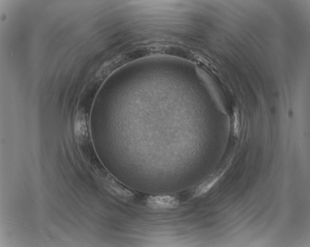 X0000068820137200605051220