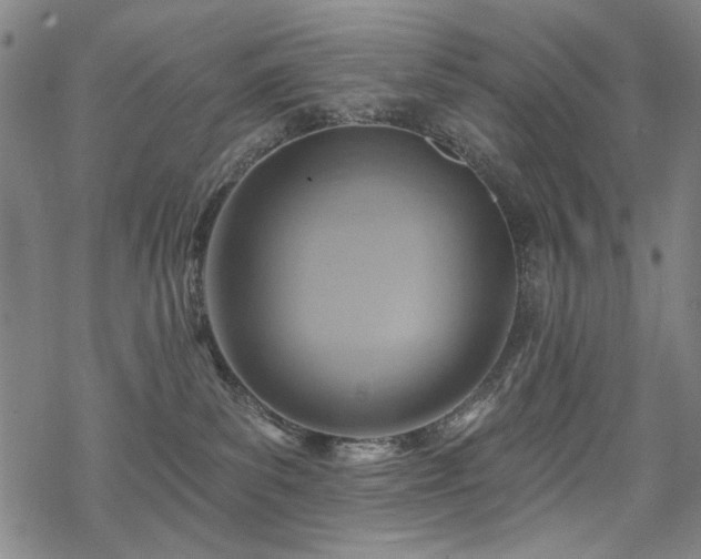 X0000068820139200605051220