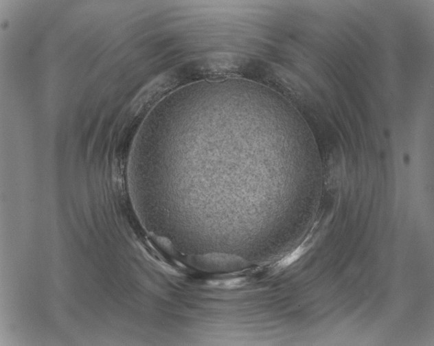 X0000068820140200605051220