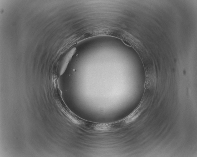 X0000068820142200605051220