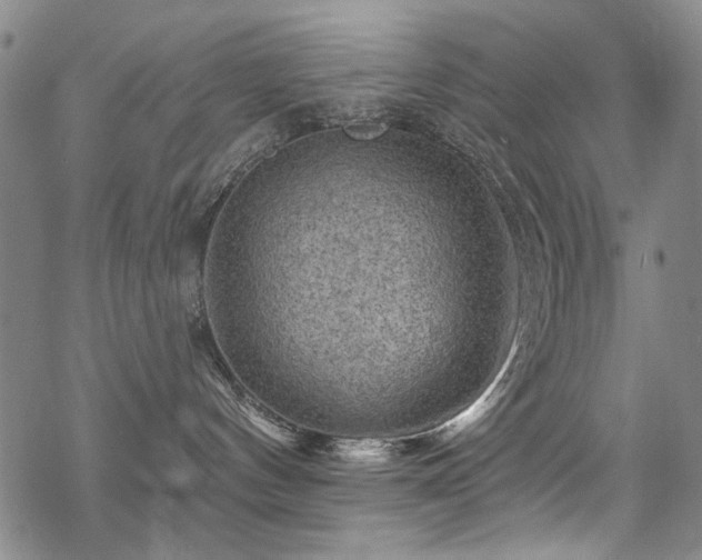 X0000068820144200605051220