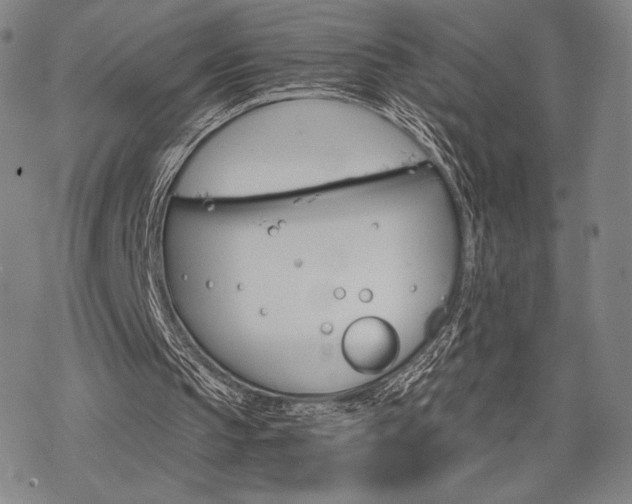 X0000068820145200605051219