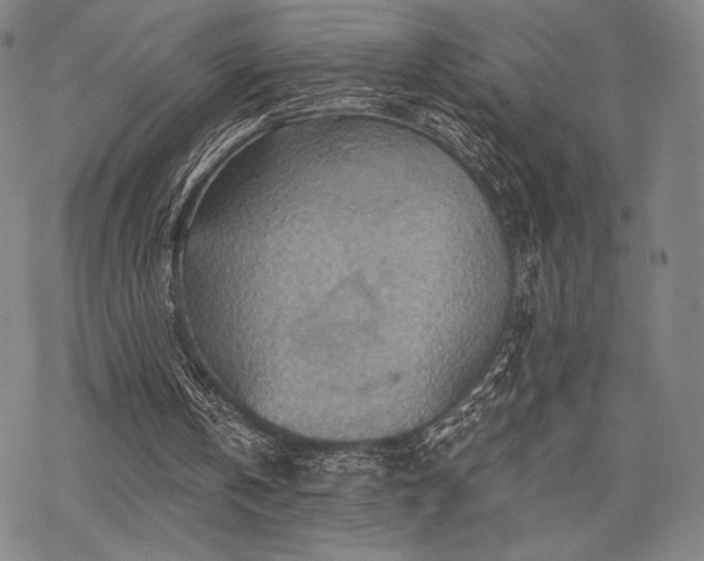 X0000068820146200605051219