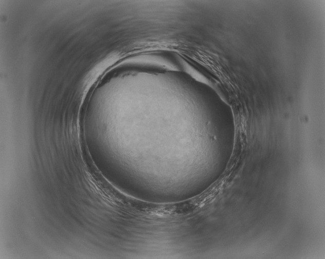 X0000068820148200605051219