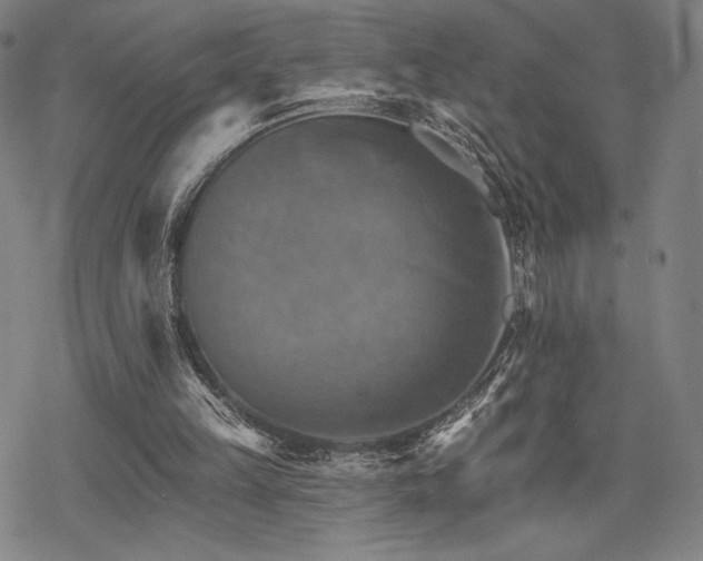 X0000068820149200605051219