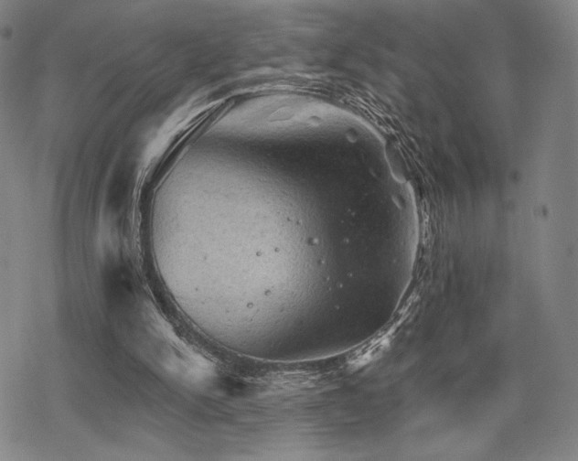 X0000068820150200605051219