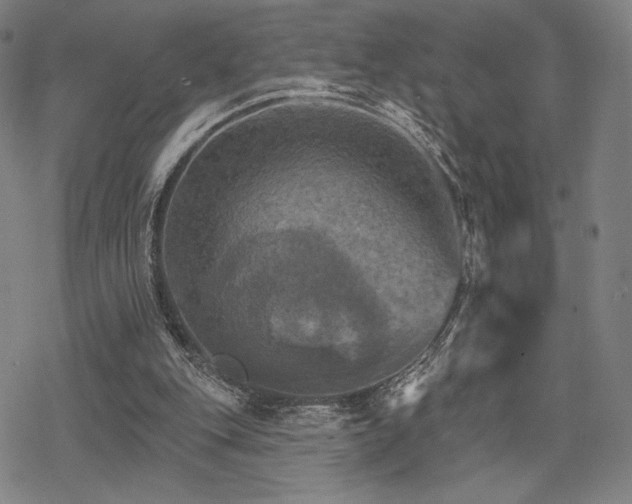 X0000068820151200605051219