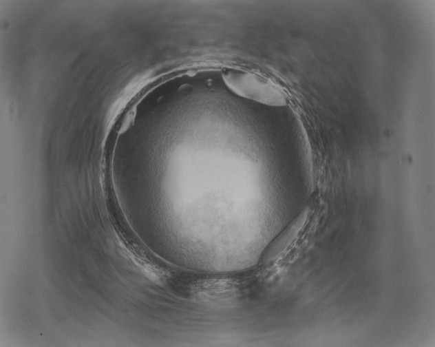 X0000068820152200605051219