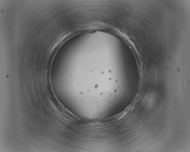 X0000068820154200605051219