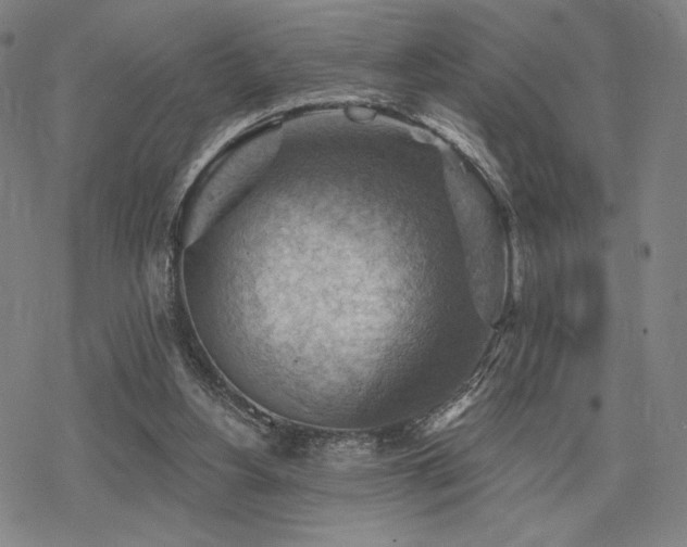 X0000068820156200605051219