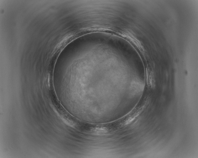 X0000068820157200605051219